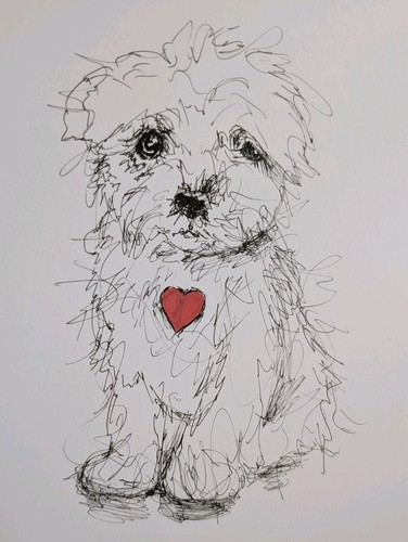 Maltese puppy dog illustration - dog,