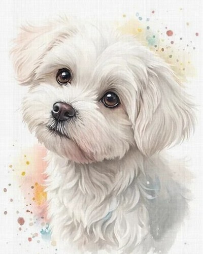 Maltese cross stitch - maltese, (2)