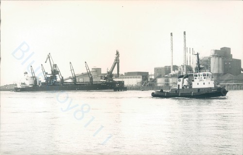 Maltese gloria deo - mv,