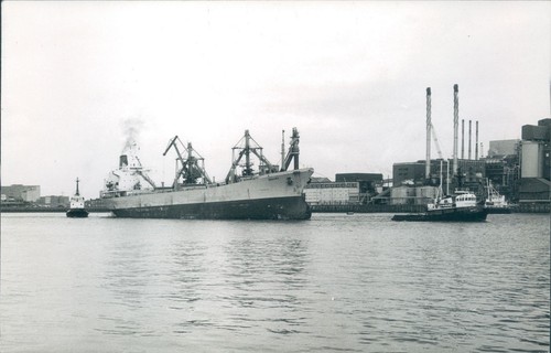 Maltese meghna off - meghna,