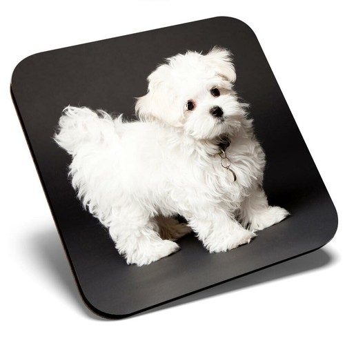 Square single coaster - single,