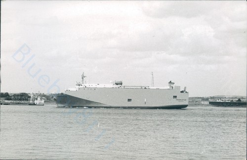 Maltese feedercaptain off - maltese, mv