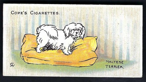 Cope dogs the world - -,