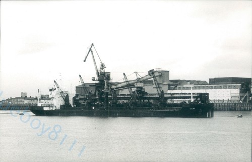 Maltese irene silvertown - at,