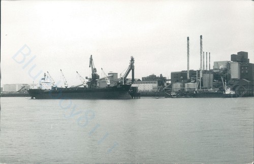 Maltese leader danish - a, &