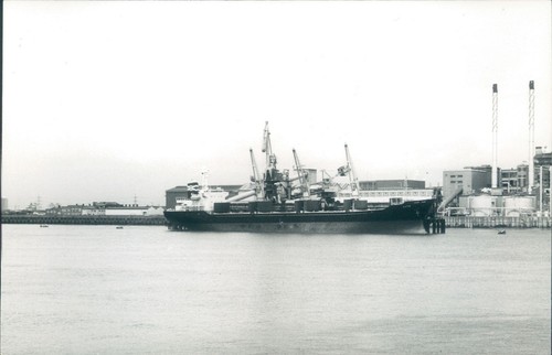Maltese lita silvertown - mv, at