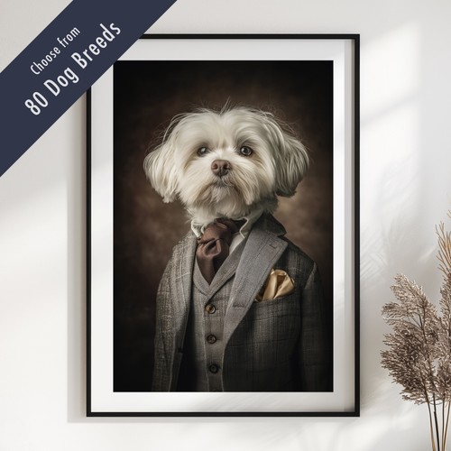 Smartly dressed dog portrait - dressed,