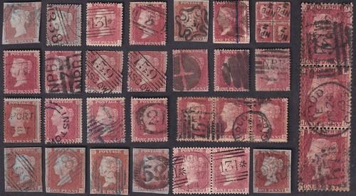 Penny reds distinctive - qv,