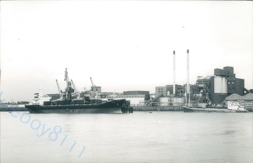 Maltese lita russian - mv,
