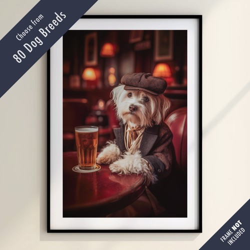 Funny dog drinking beer the - drinking,