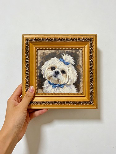 Maltese dog with blue - with,