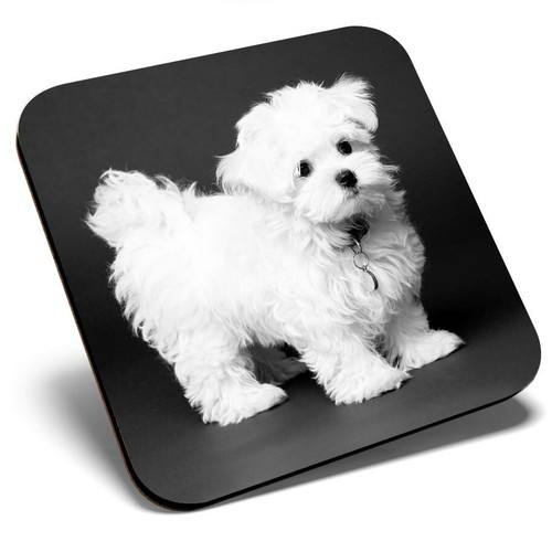 Square single coaster - square,