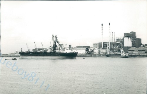 Maltese alcor estonian mv - mv,