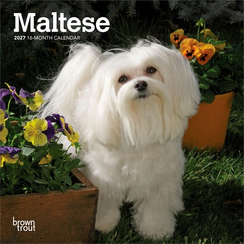 Maltese 2027 7x14 - 2027, 7x14"