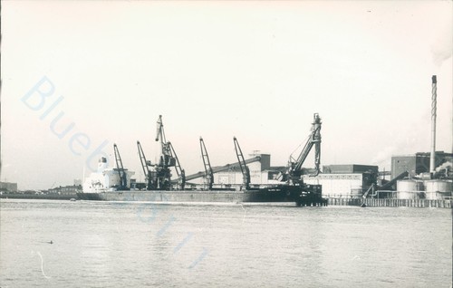 Maltese gloria deo at - mv,