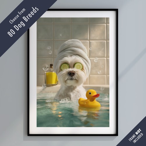 Funny dog bath - dog, in