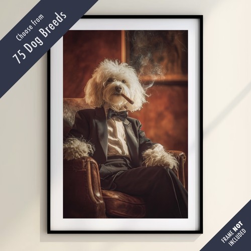 Funny dog smoking cigar - funny,