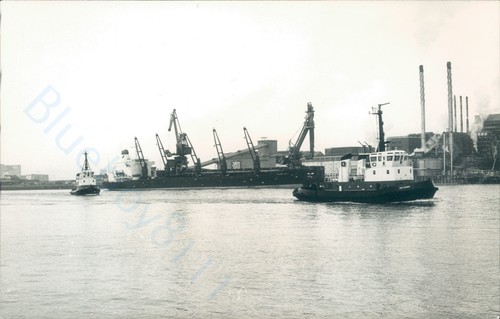 Maltese gloria deo - mv,