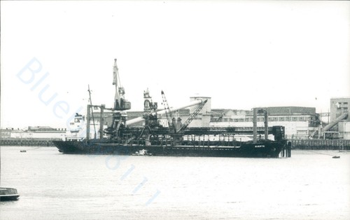 Maltese suerte at - maltese, mv