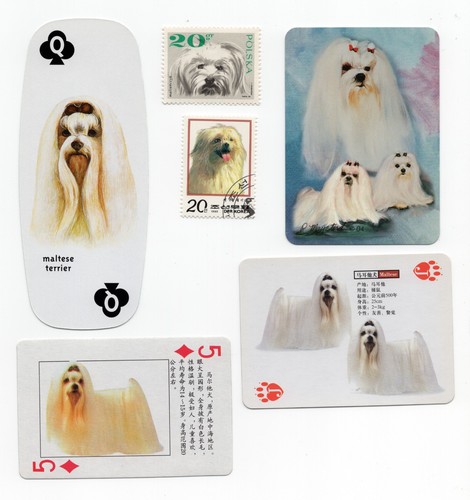 Maltese collection vintage - collection, of