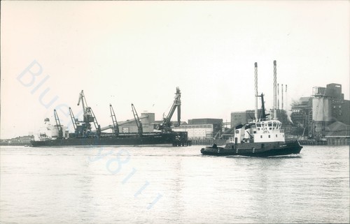Maltese gloria deo - mv, &