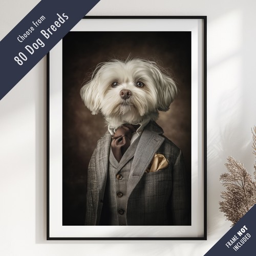 Smartly dressed dog portrait - smartly,