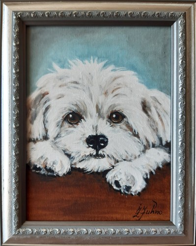 Maltese dog oil painting - maltese,